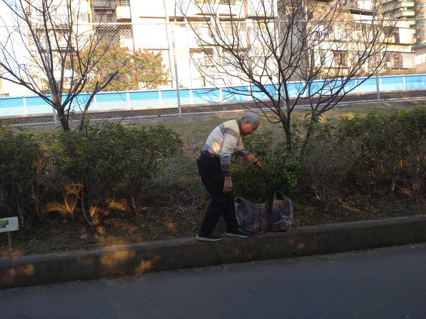 新北市政府社區治安諮詢服務網－最新消息－淡水區竿蓁里自行車道種植2千多棵桂花樹，成為桂花廊道，讓路過或遊客們佇足。