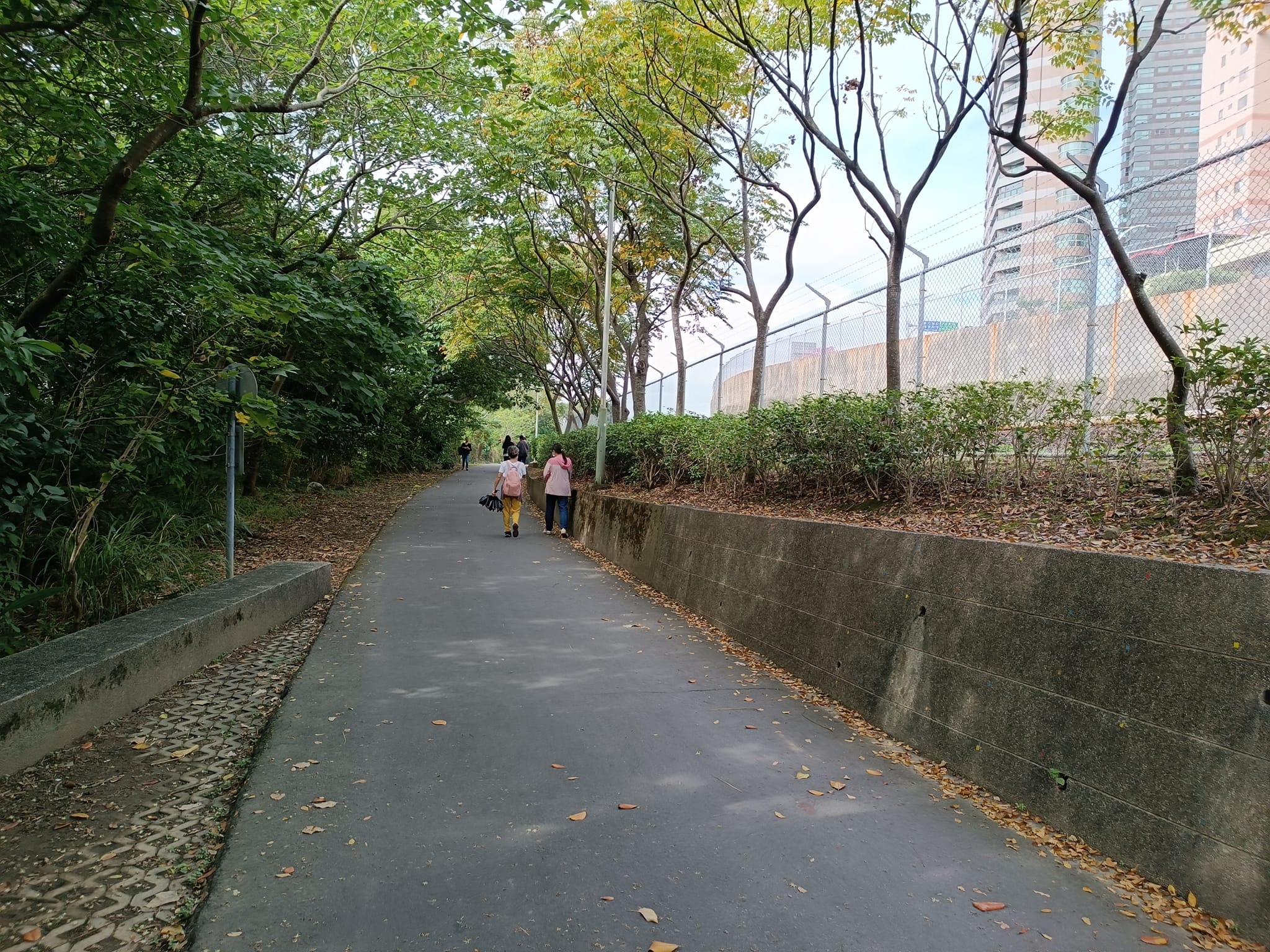 新北市政府社區治安諮詢服務網－最新消息－淡水區竿蓁里自行車道種植2千多棵桂花樹，成為桂花廊道，讓路過或遊客們佇足。