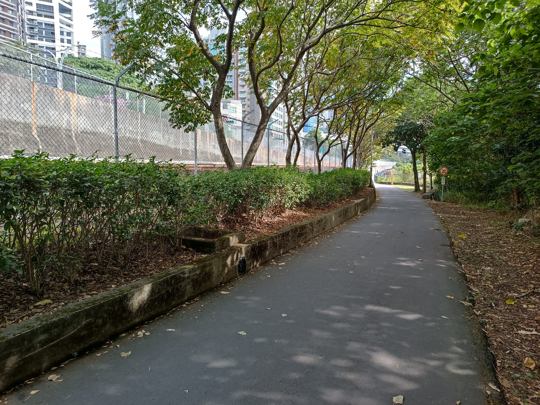 新北市政府社區治安諮詢服務網－最新消息－淡水區竿蓁里自行車道種植2千多棵桂花樹，成為桂花廊道，讓路過或遊客們佇足。